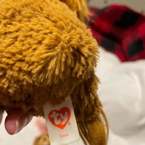 Bundle of TY Beanies - Picture 10 of 10